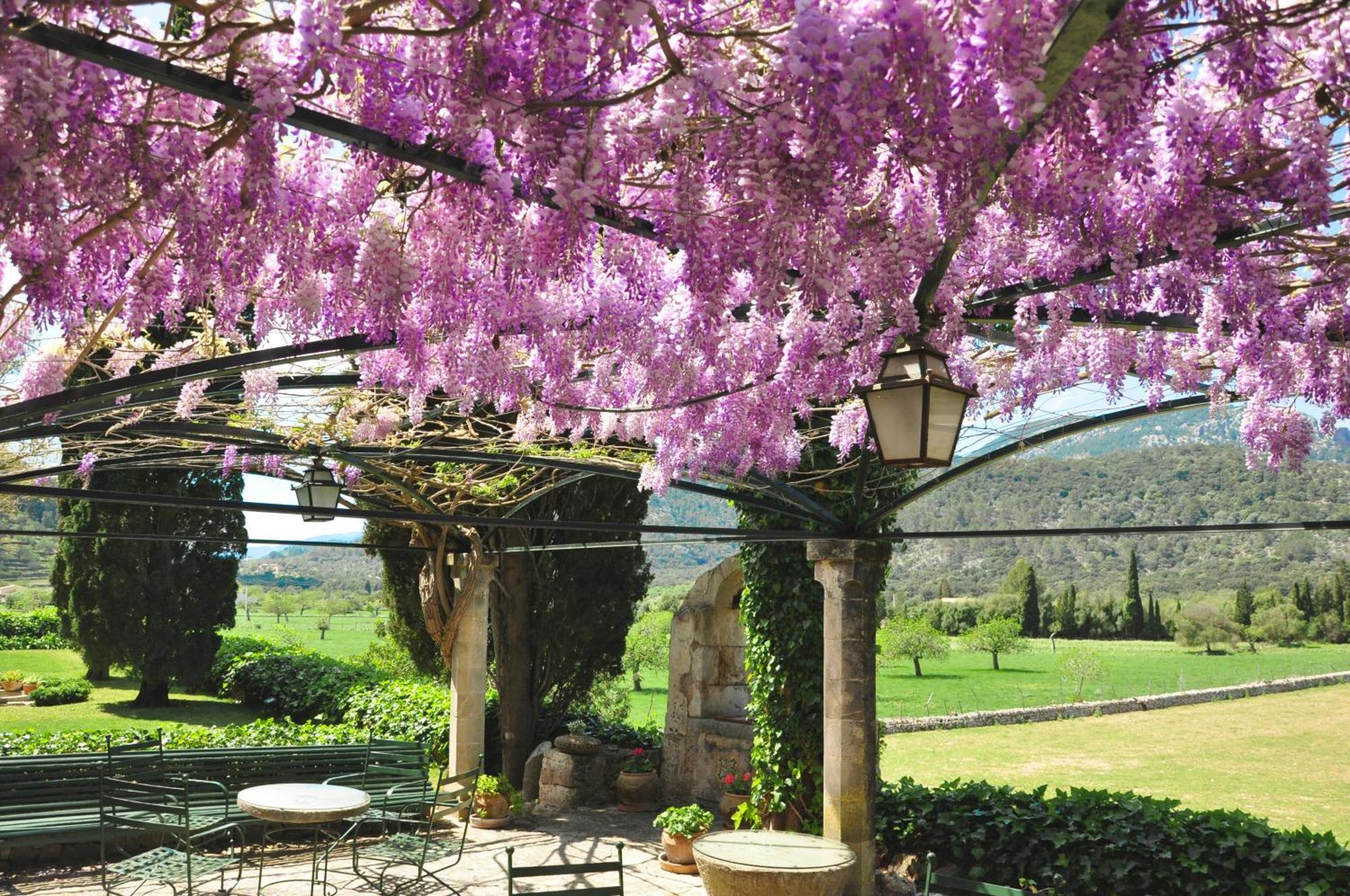 Fangar Agroturismo 캄파네트 외부 사진